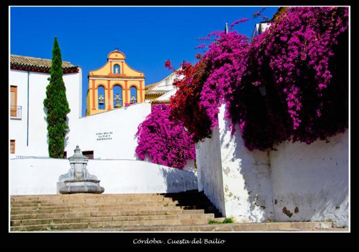 Centro Historico Cristo De Los Faroles La Preferida Apartment Cordoba Exterior photo